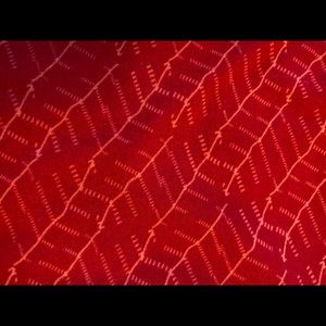 Lularoe  Tween Leggings